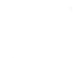 Vítr